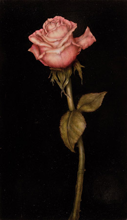 Rose - 20 x 35 - Mixed technique: pastel pencil, encaustic pastel, egg yolk tempera veiled with natural organic colours and varnished