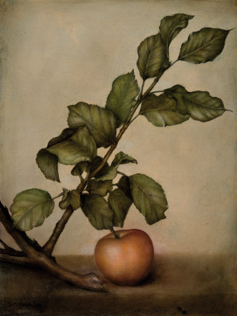 Mela e foglie - 37 x 27 - Tecnica mista: matita, pastello encaustizzato, velatura con colori organici
