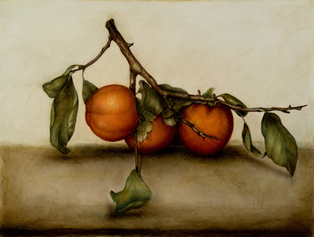 Still life - 30 x 40 - Mixed technique: pencil, veiled with natural organic colours (2015)