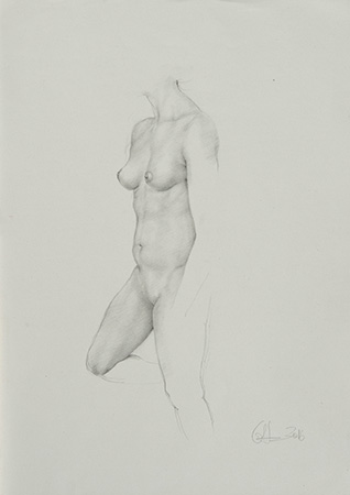 Nude - Technique: pencil (2016)